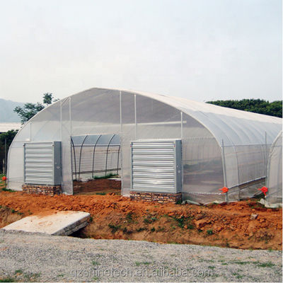 Koelsysteem Landbouwkasten met een enkele span voor de tomatenbouw