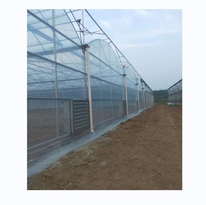 Shine Tech Multi Span Plastic Film Serre Voor Tomaten En Aardbeien Kweek