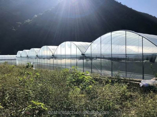 Shine Tech Multi Span Plastic Film Serre Voor Tomaten En Aardbeien Kweek