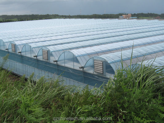 Shine Tech Multi Span Plastic Film Serre Voor Tomaten En Aardbeien Kweek