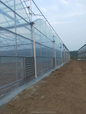 Shine Tech Multi Span Plastic Film Serre Voor Tomaten En Aardbeien Kweek