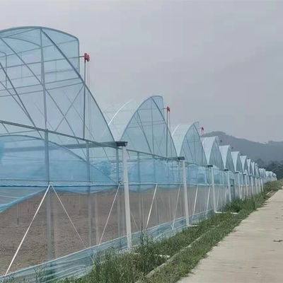 Shine Tech Multi Span Plastic Film Serre Voor Tomaten En Aardbeien Kweek