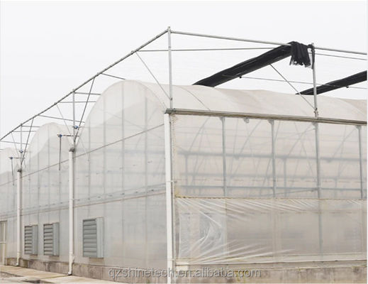Shine Tech Groentehuis Sleutelklaaroplossing voor Hydroponics van Landbouw Tomaten