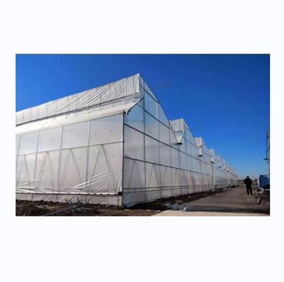Grote zaagtand kas Scheertechnisch Poly Tunnel Tropische kas met ventilatie