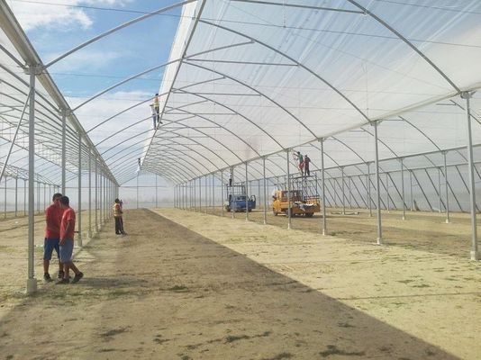 Grote zaagtand kas Scheertechnisch Poly Tunnel Tropische kas met ventilatie
