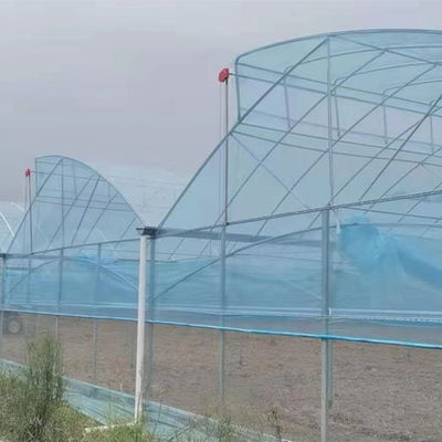 Grote zaagtand kas Scheertechnisch Poly Tunnel Tropische kas met ventilatie
