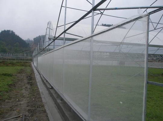30-150G Schuiningsnetten voor broeikasgassen HDPE UV-bescherming en insectenbestendige netten voor plaagbestrijding