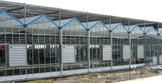 380/220V Ventilatie van de pluimvee-industrie