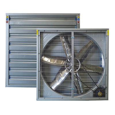 Wandmontage zware hamer uitlaatventilator voor pluimveehouderij kippenbroiler koelsysteem